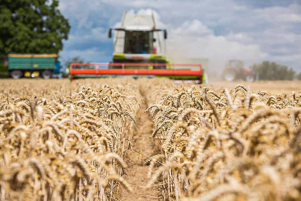  Brasil segue com potencial para tornar-se o maior produtor de alimentos Brasil segue com potencial para tornar-se o maior produtor de alimentos