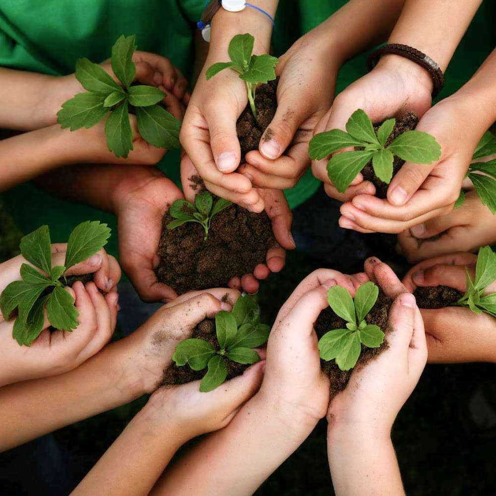  Ações sustentáveis definirão futuro de pequenas empresas