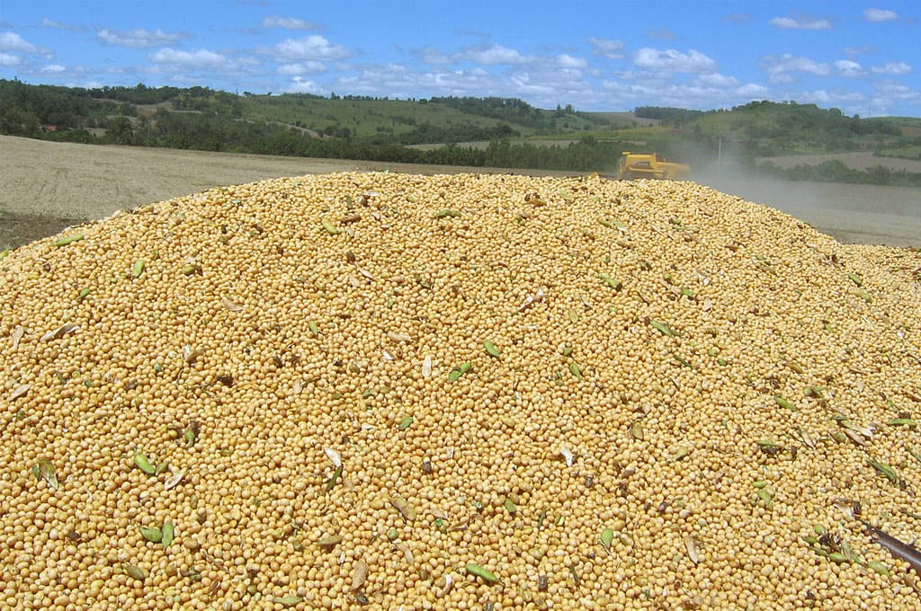  Exportações do agronegócio têm novo recorde em junho