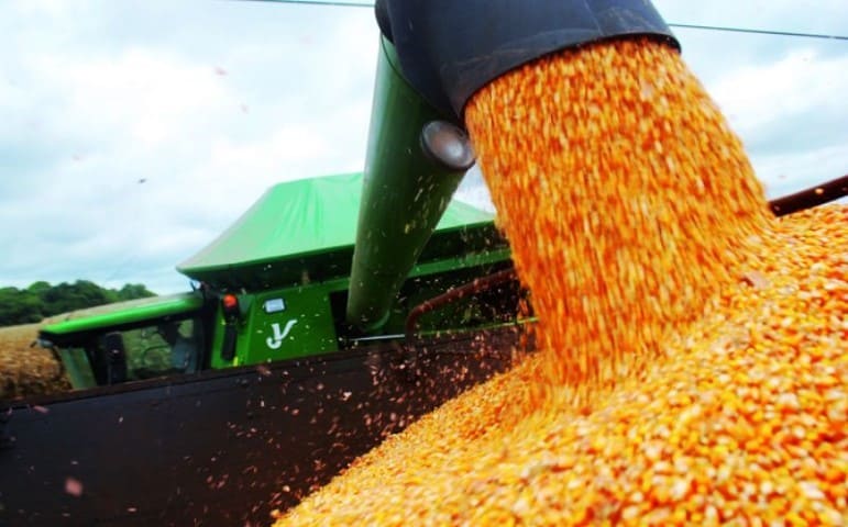  Exportações do agronegócio cresceram 20,9% no primeiro semestre