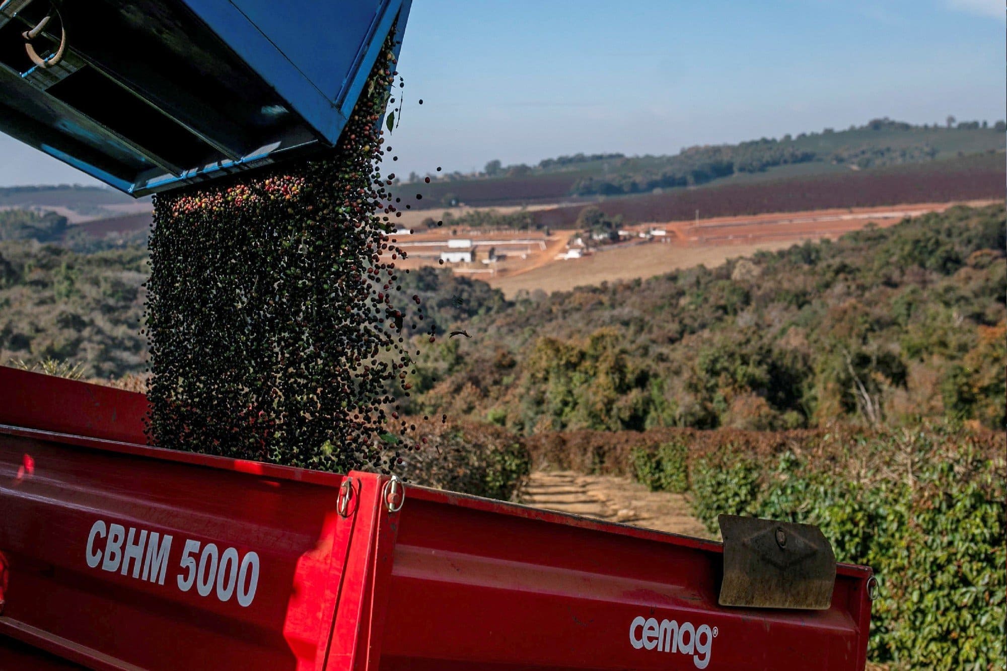  Logística trava e exportação de café do Brasil despenca em agosto