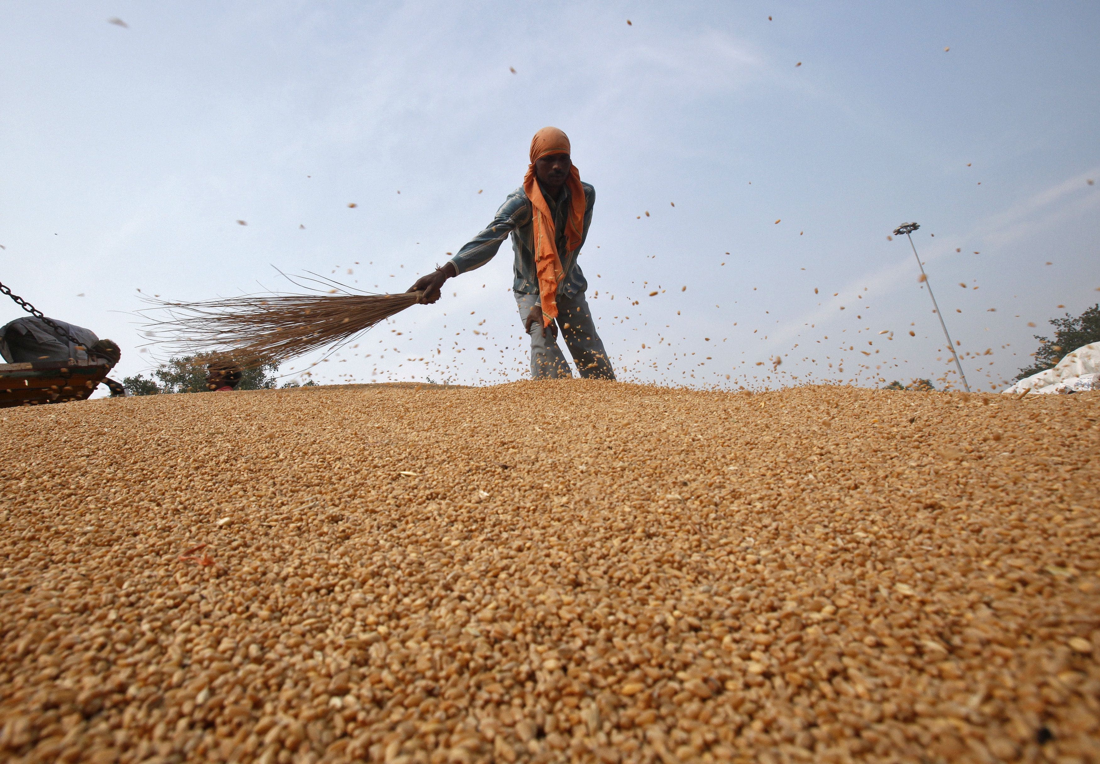  Com previsão de crescimento de 5%, agronegócio deve impulsionar PIB em 2022