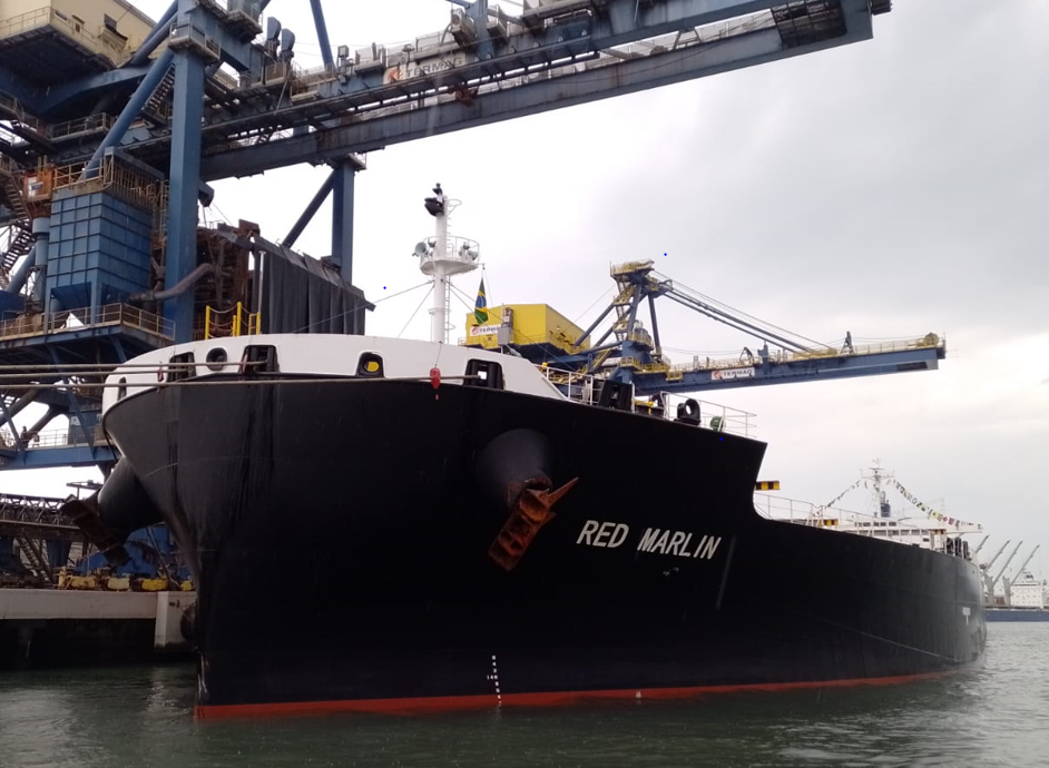  Wilson Sons inicia agenciamento do navio MV Red Marlin