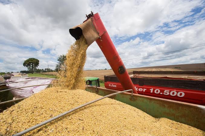  Ampliação da logística rural é desafio ao agro, diz especialista
